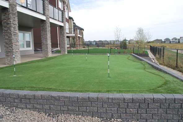 Flagstaff residential backyard putting green grass near modern home with golf flags