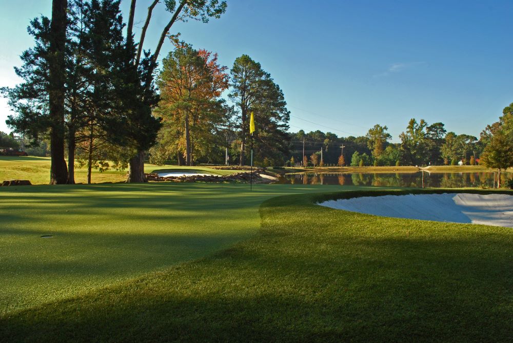 Flagstaff Artificial Turf Golf Course