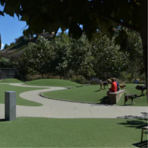 What to Review Prior to When You Spec a Dog Park Surface in Flagstaff