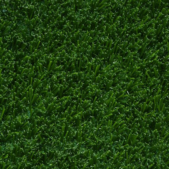 GB113_Fresh Green_301 GB113_Fresh Green_301