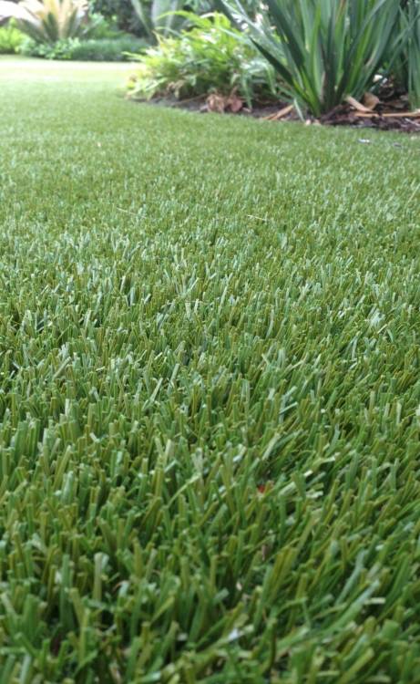 Flagstaff artificial grass
