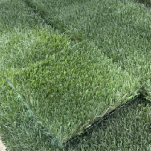 Introducing Wide Blade Turf in Flagstaff