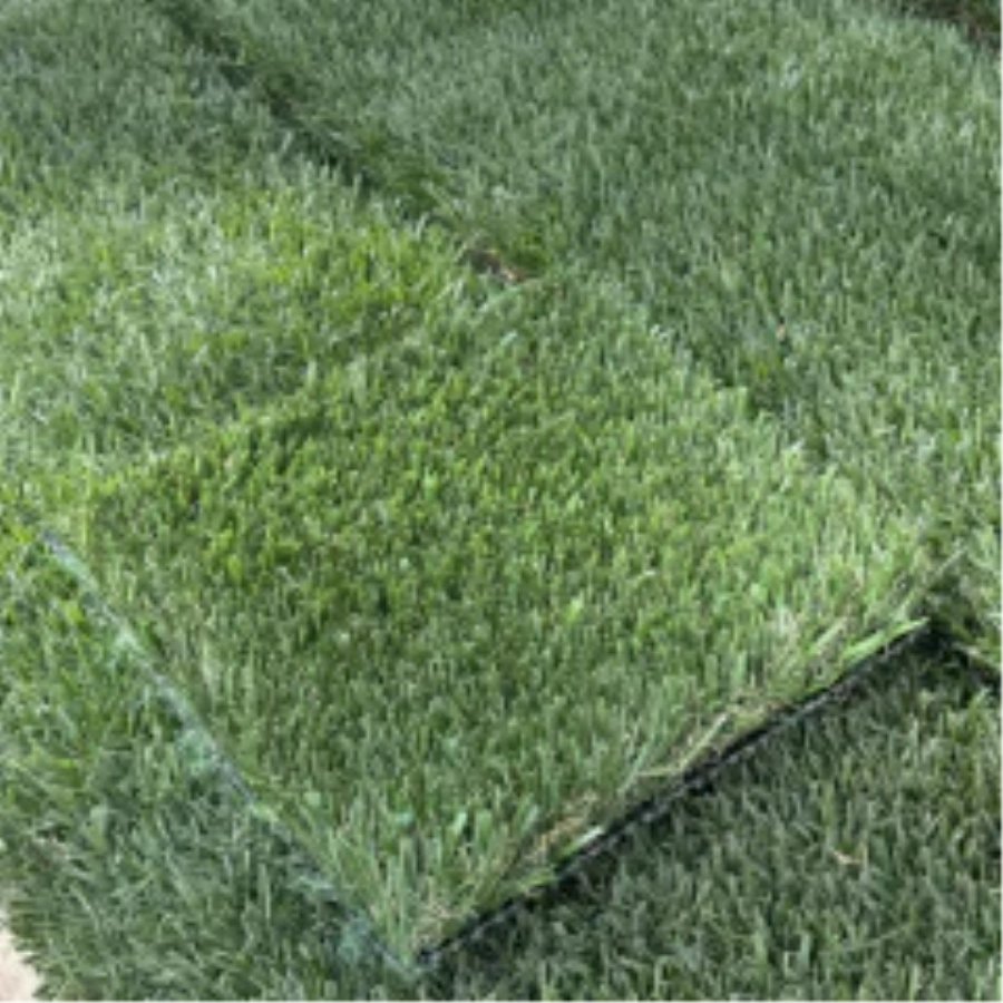 Introducing Wide Blade Turf in Flagstaff