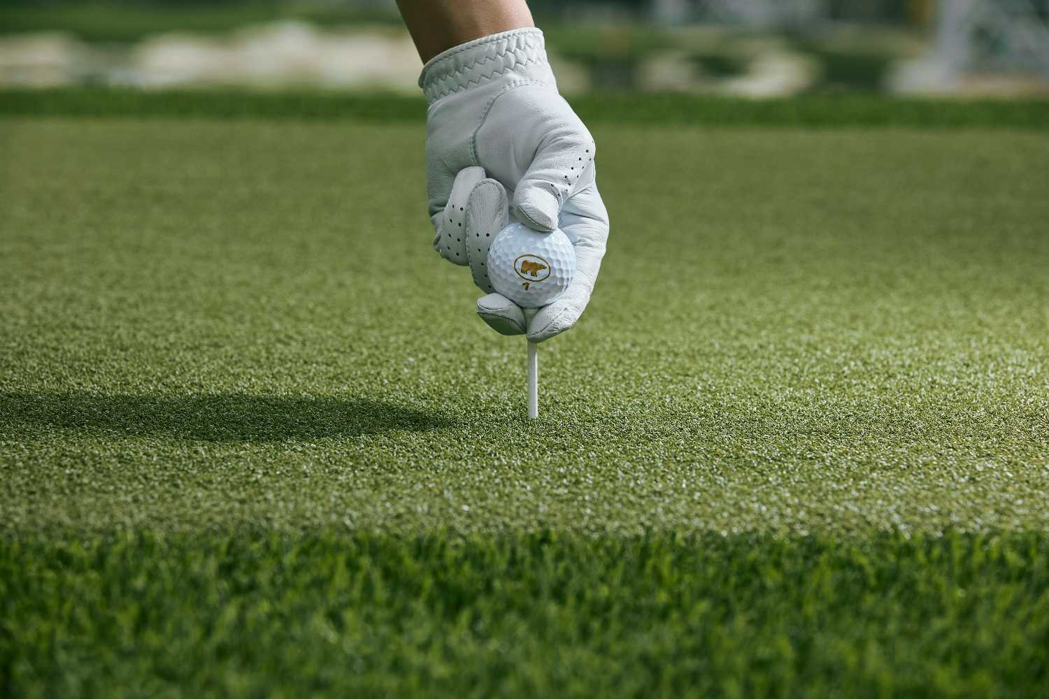 Flagstaff driving range