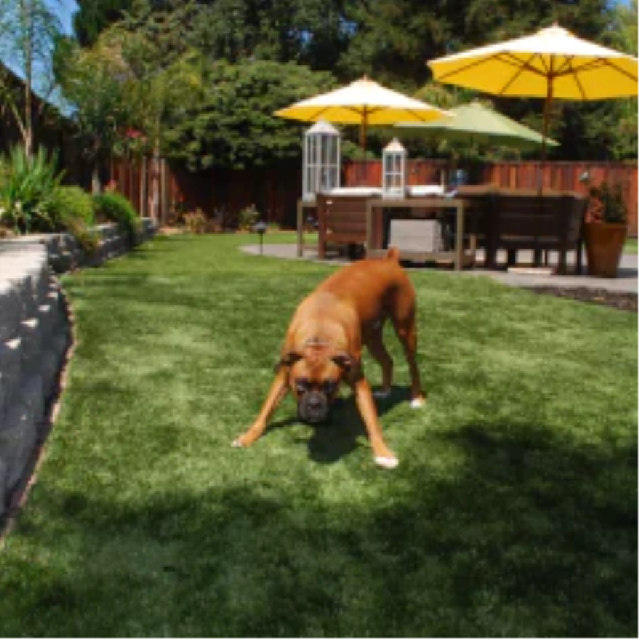 Why fake grass for dogs Improves Your [[targetlocaiton]] Outdoor Space